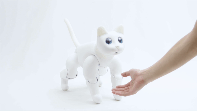 mars cat robot price